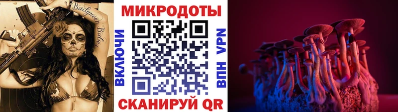 Псилоцибиновые грибы Psilocybine cubensis  Бавлы 